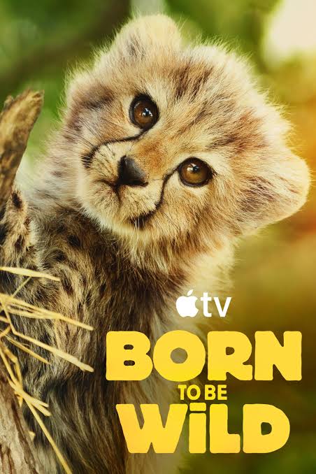 Born to Be Wild key art