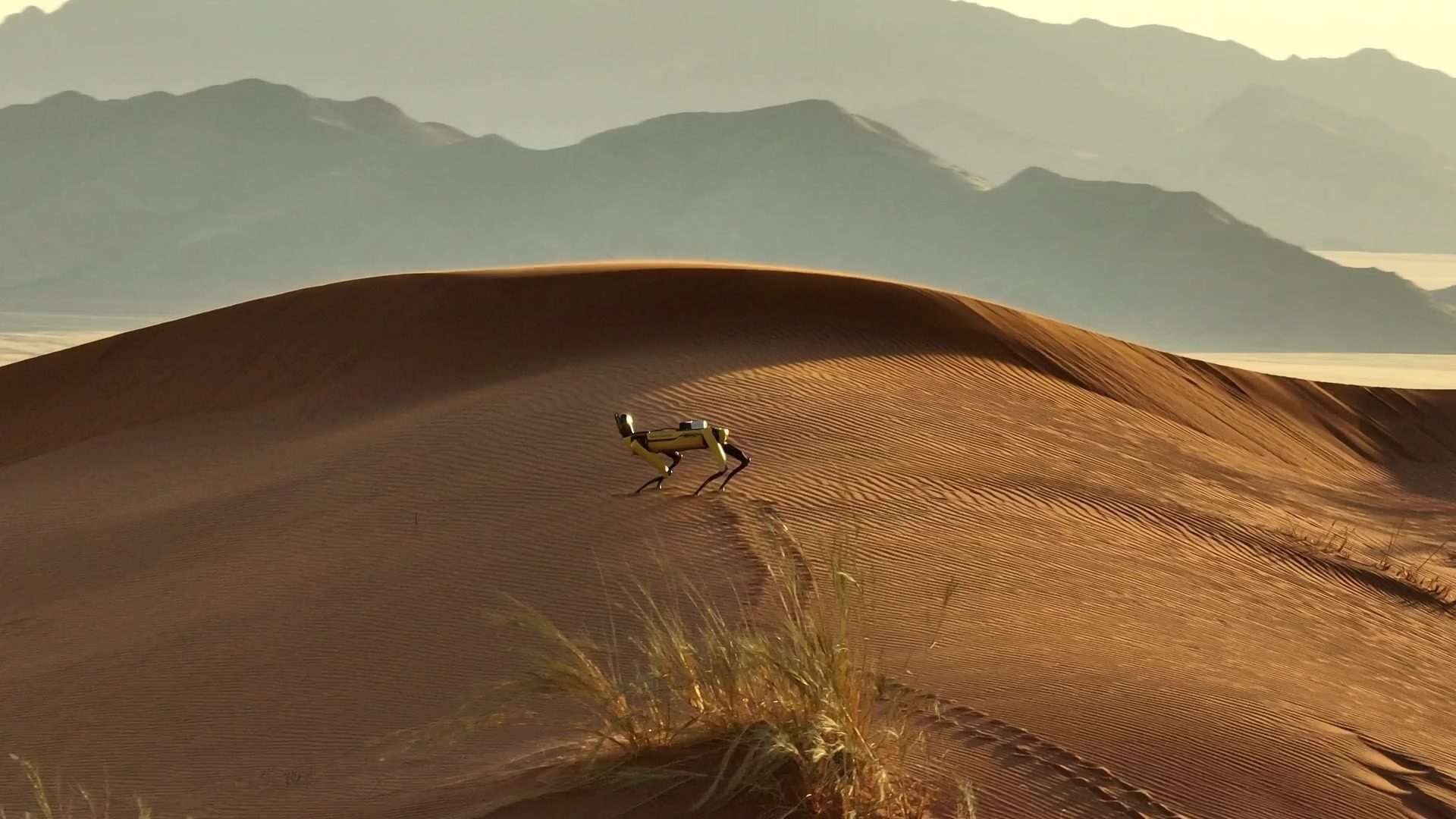 A Boston Dynamics Spot robot scanning a red Namib dune at dawn, from the WPP research shoot